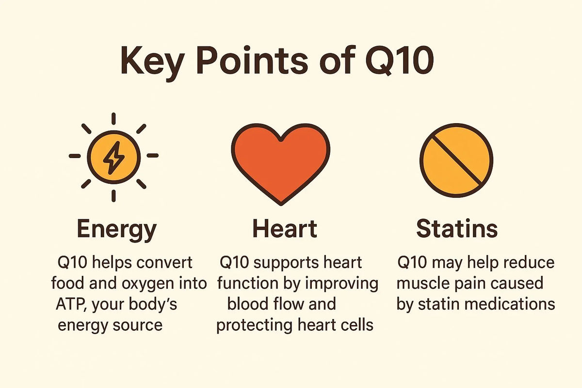 Infographic explaining Coenzyme Q10 benefits for energy, heart health, and statin support.